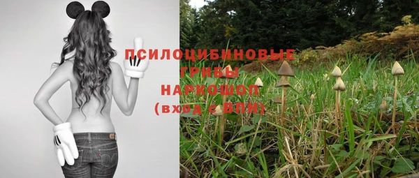 MESCALINE Магадан