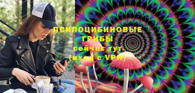 Псилоцибиновые грибы Magic Shrooms Гдов